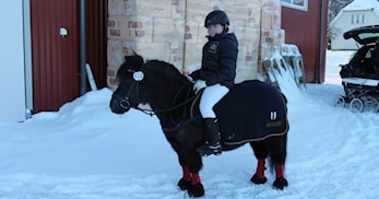 Vi trenger flere slike stevner